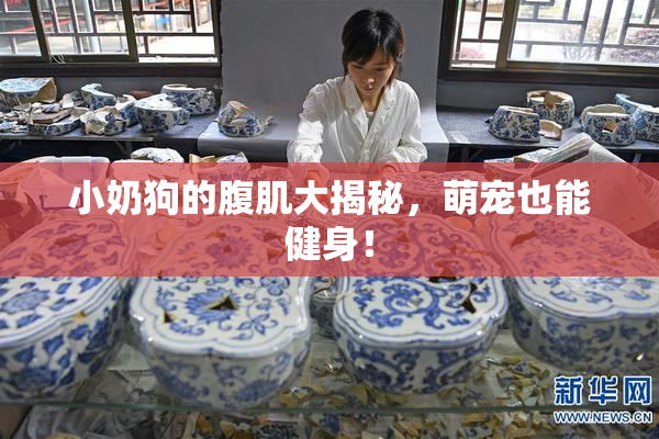 小奶狗的腹肌大揭秘，萌宠也能健身！