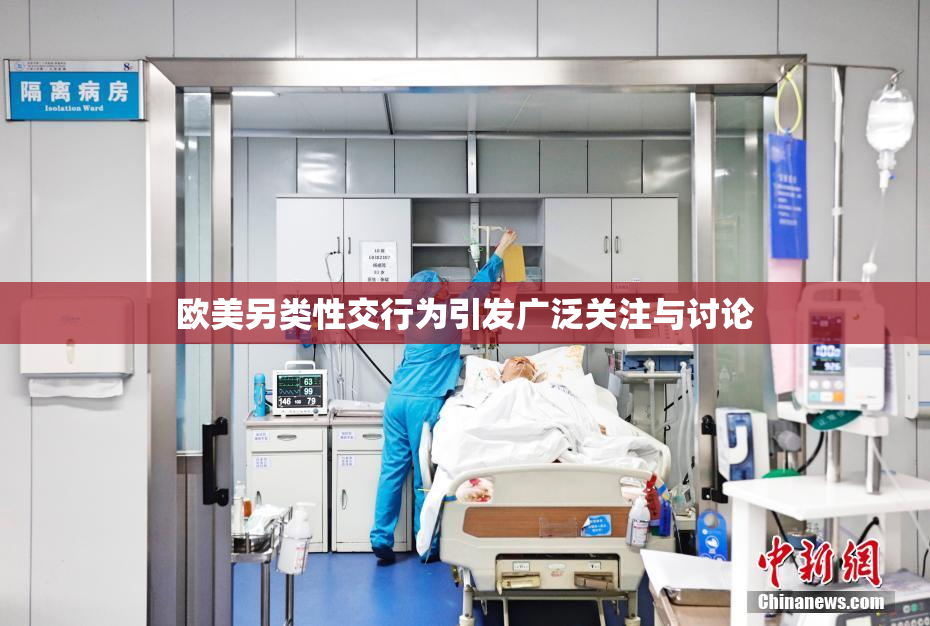 欧美另类性交行为引发广泛关注与讨论