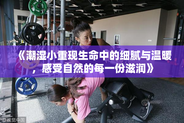 《潮湿小重现生命中的细腻与温暖，感受自然的每一份滋润》
