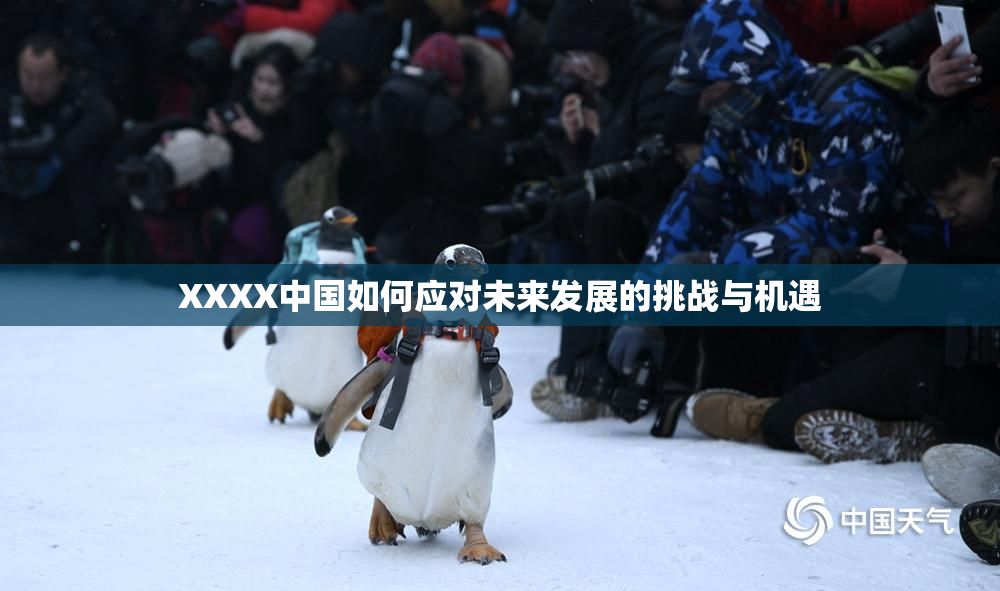 XXXX中国如何应对未来发展的挑战与机遇