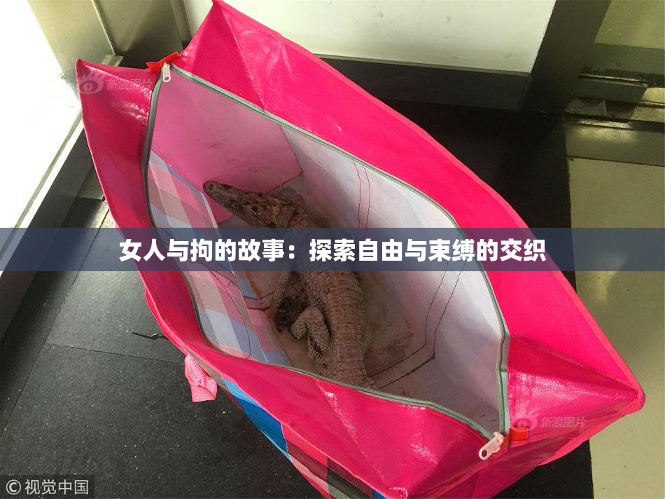 女人与拘的故事：探索自由与束缚的交织