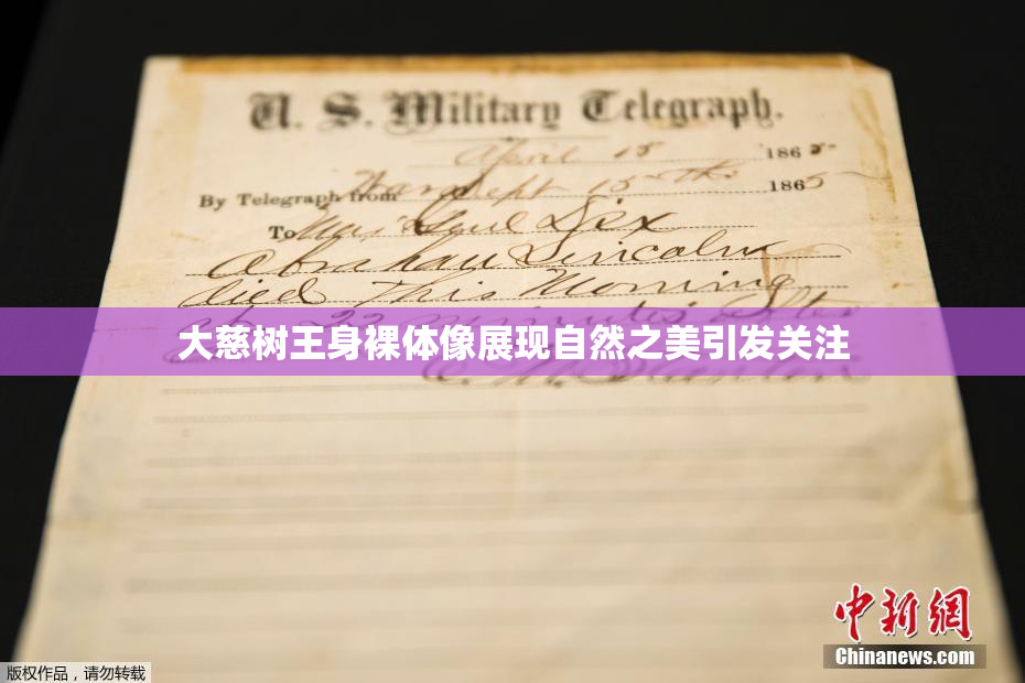 大慈树王身裸体像展现自然之美引发关注