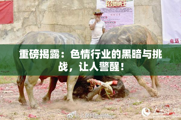重磅揭露：色情行业的黑暗与挑战，让人警醒！