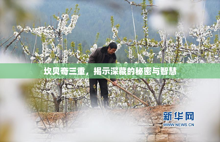 坎贝奇三重，揭示深藏的秘密与智慧