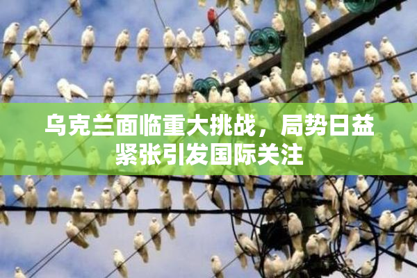 乌克兰面临重大挑战，局势日益紧张引发国际关注
