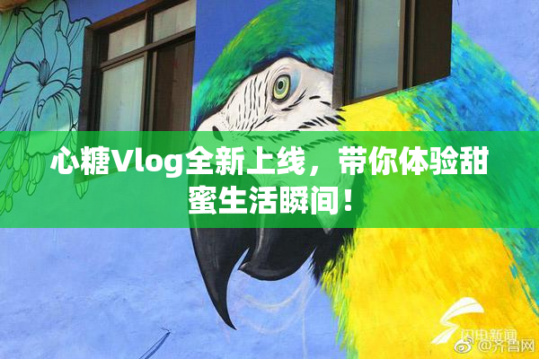 心糖Vlog全新上线，带你体验甜蜜生活瞬间！