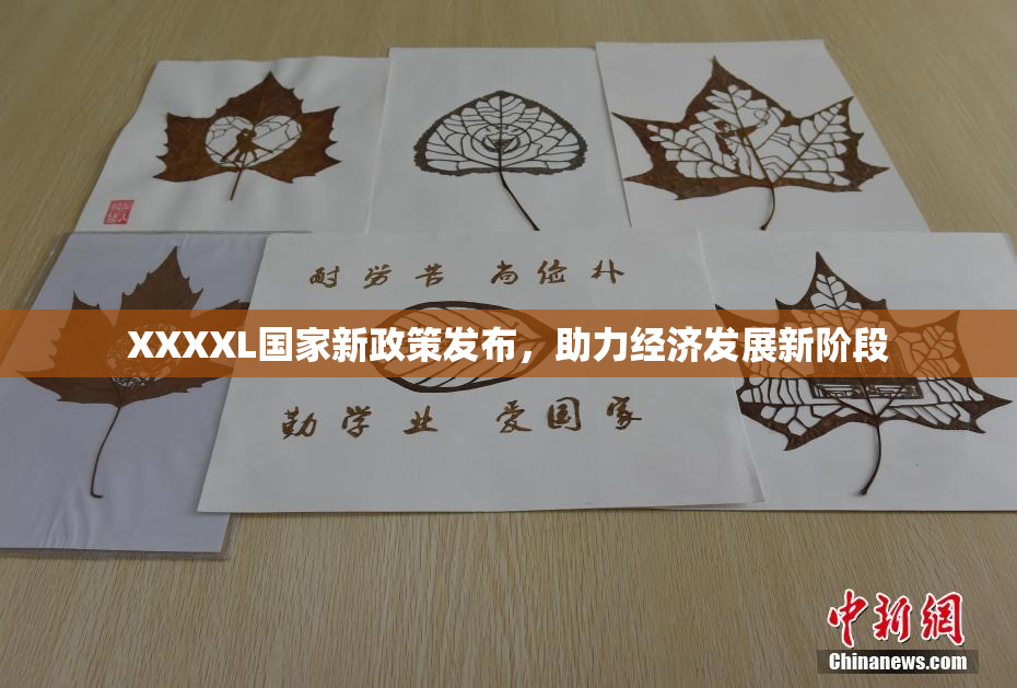 XXXXL国家新政策发布，助力经济发展新阶段