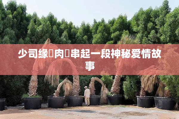 少司缘婬肉泬串起一段神秘爱情故事