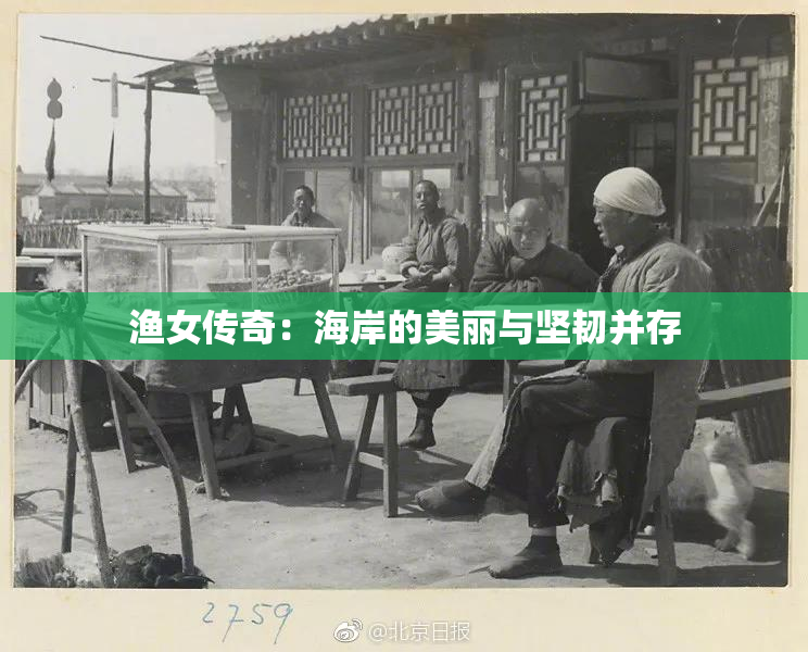 渔女传奇：海岸的美丽与坚韧并存