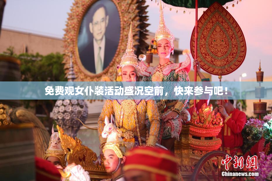 免费观女仆装活动盛况空前，快来参与吧！