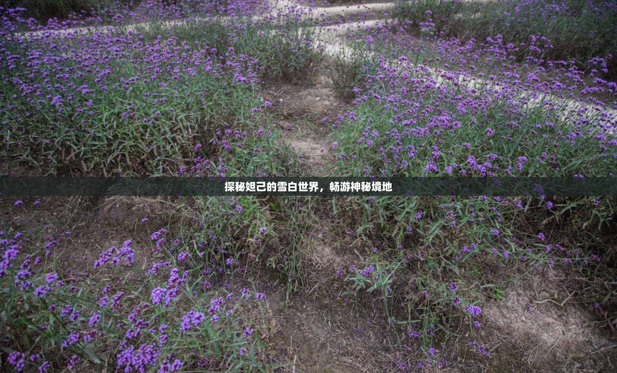 探秘妲己的雪白世界，畅游神秘境地