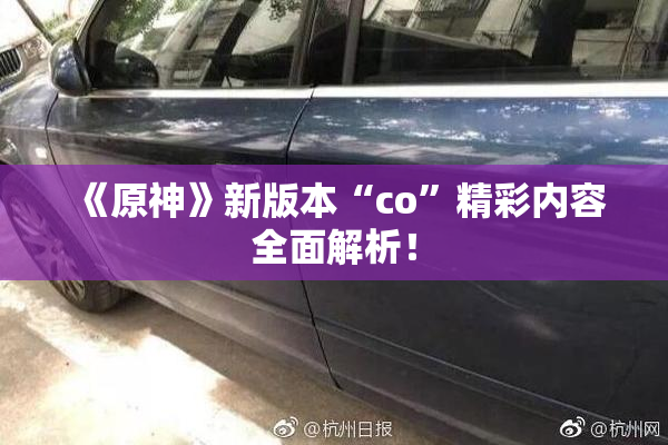 《原神》新版本“co”精彩内容全面解析！