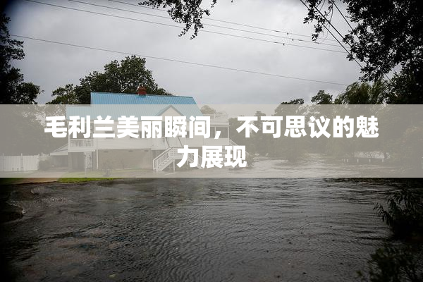 毛利兰美丽瞬间，不可思议的魅力展现