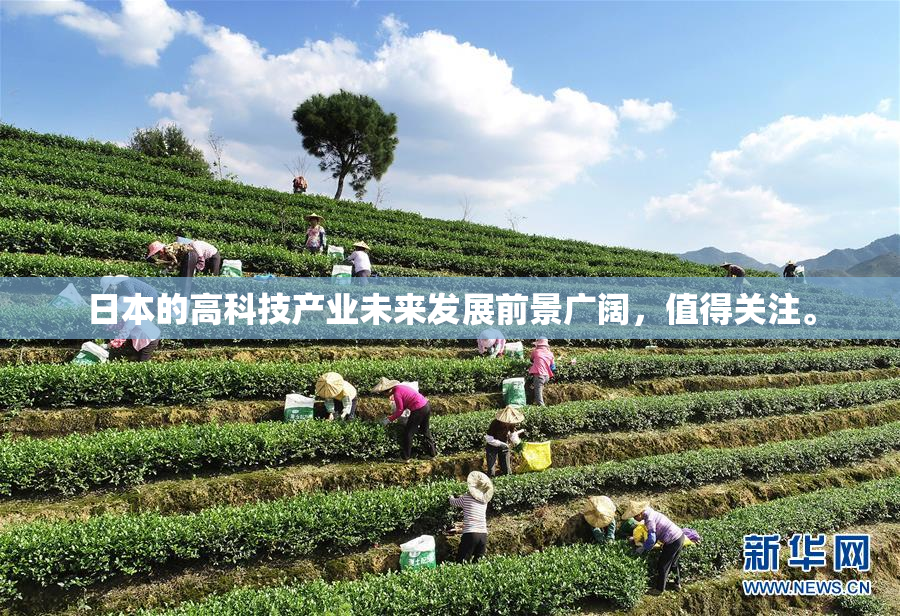 日本的高科技产业未来发展前景广阔，值得关注。
