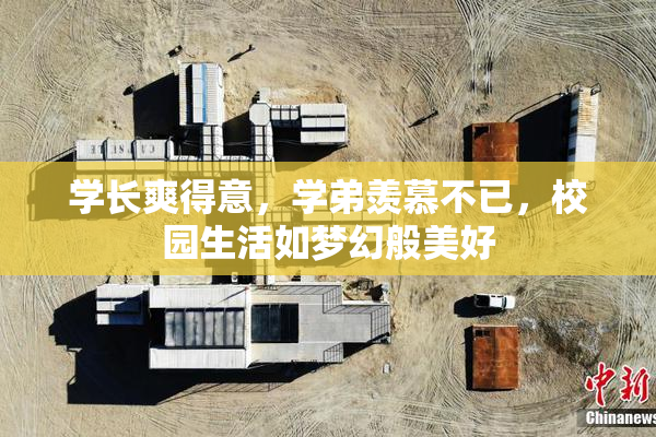 学长爽得意，学弟羡慕不已，校园生活如梦幻般美好