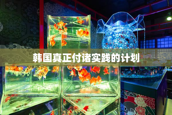 韩国真正付诸实践的计划