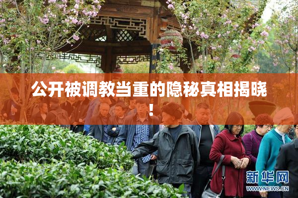 公开被调教当重的隐秘真相揭晓！