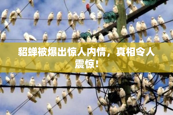 貂蝉被爆出惊人内情，真相令人震惊！