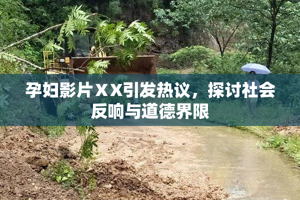 孕妇影片ⅩX引发热议，探讨社会反响与道德界限