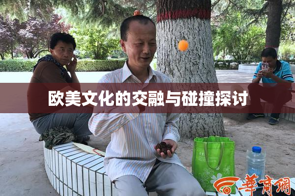 欧美文化的交融与碰撞探讨