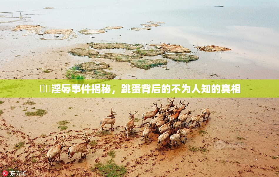 妺妺淫辱事件揭秘，跳蛋背后的不为人知的真相