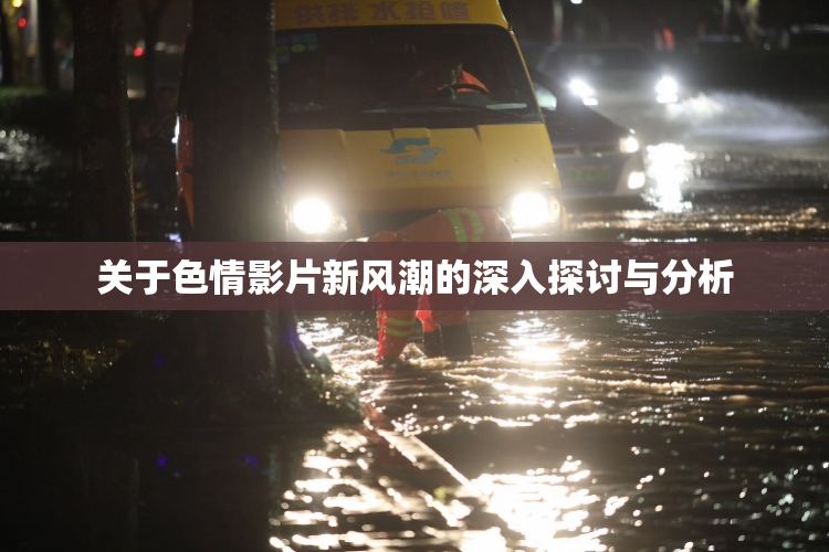 关于色情影片新风潮的深入探讨与分析