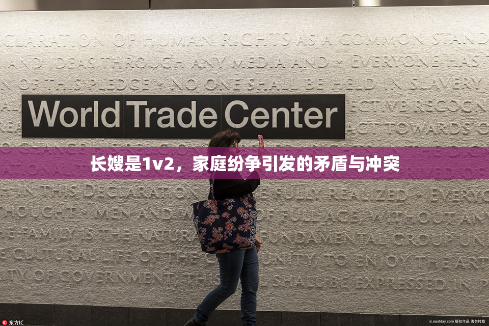 长嫂是1v2，家庭纷争引发的矛盾与冲突