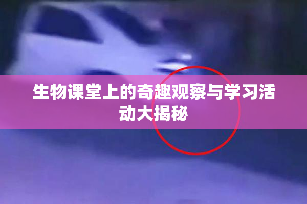 生物课堂上的奇趣观察与学习活动大揭秘