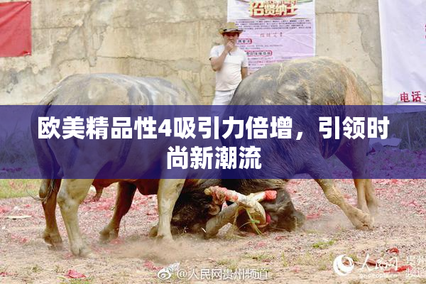 欧美精品性4吸引力倍增，引领时尚新潮流