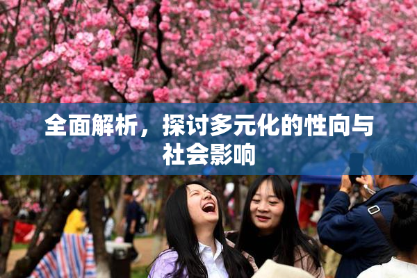 全面解析，探讨多元化的性向与社会影响