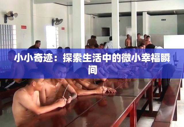 小小奇迹：探索生活中的微小幸福瞬间