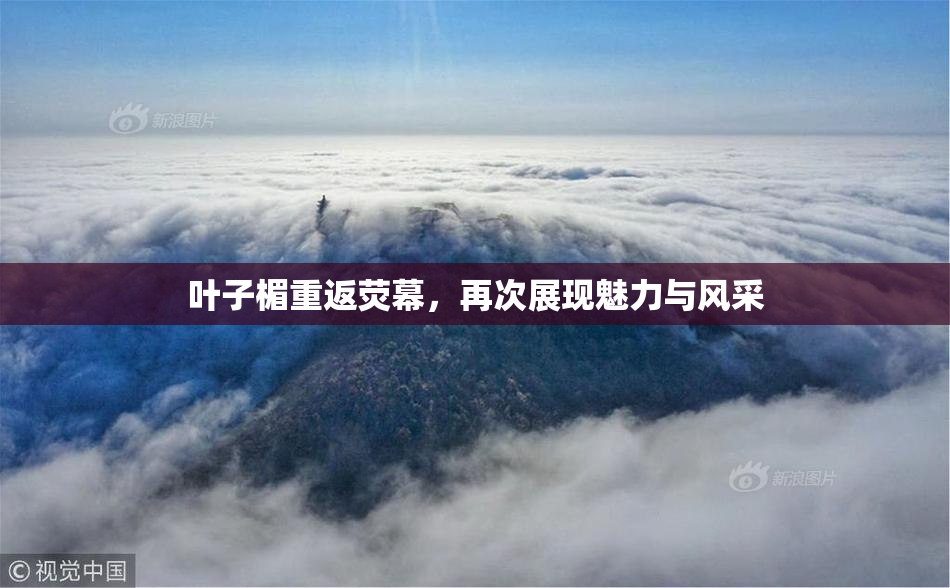 叶子楣重返荧幕，再次展现魅力与风采