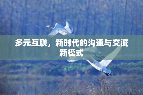 多元互联，新时代的沟通与交流新模式