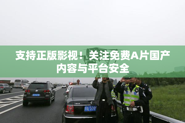 支持正版影视！关注免费A片国产内容与平台安全