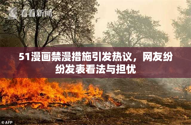 51漫画禁漫措施引发热议，网友纷纷发表看法与担忧