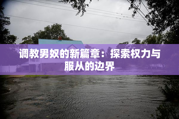 调教男奴的新篇章：探索权力与服从的边界
