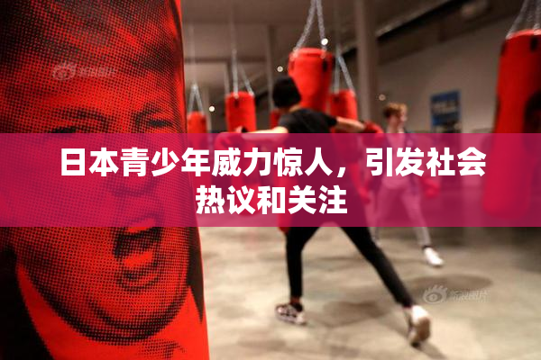 日本青少年威力惊人，引发社会热议和关注