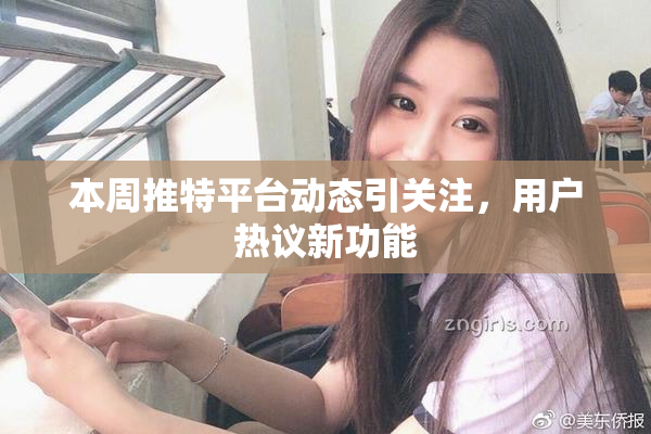 本周推特平台动态引关注，用户热议新功能
