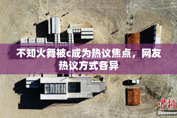 不知火舞被c成为热议焦点，网友热议方式各异