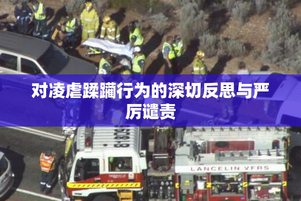 对凌虐蹂躏行为的深切反思与严厉谴责