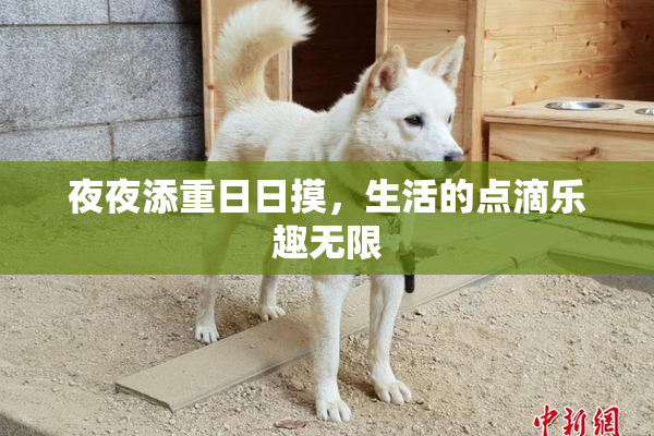 夜夜添重日日摸，生活的点滴乐趣无限