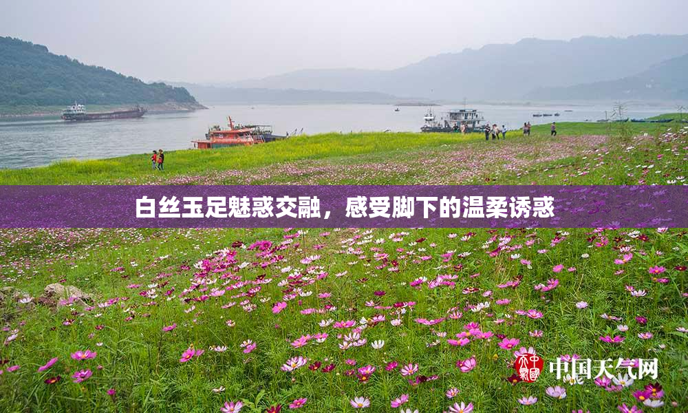 白丝玉足魅惑交融，感受脚下的温柔诱惑