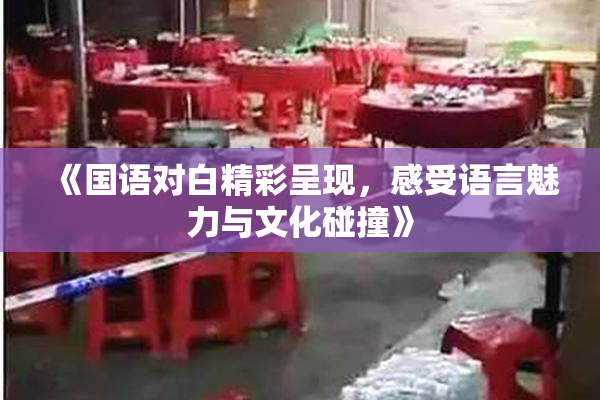 《国语对白精彩呈现，感受语言魅力与文化碰撞》
