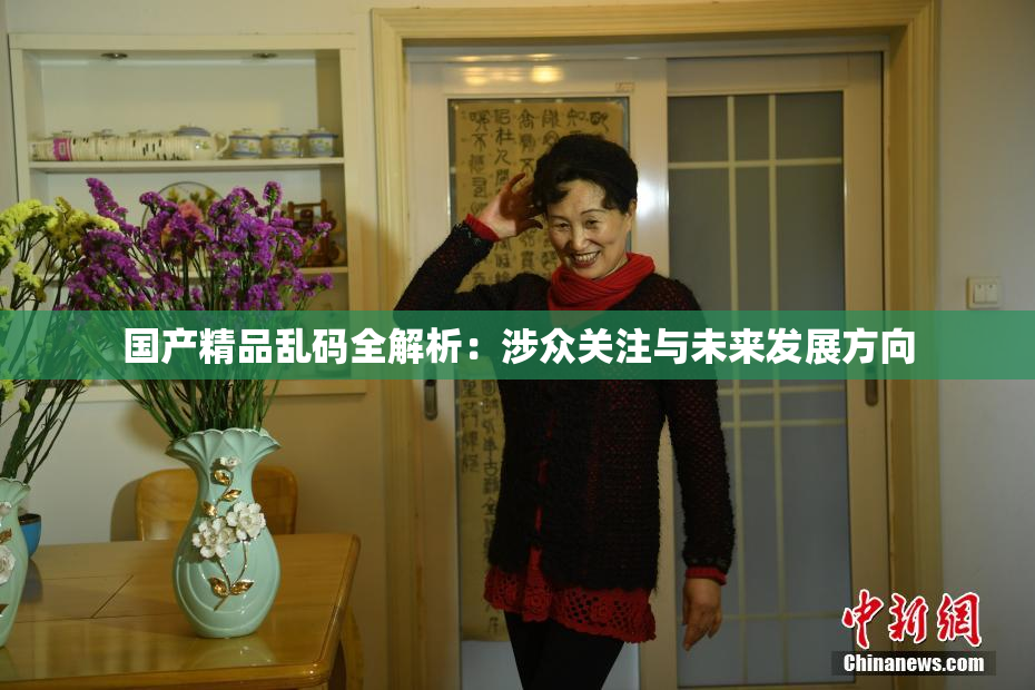 国产精品乱码全解析：涉众关注与未来发展方向
