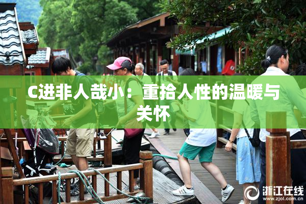 C进非人哉小：重拾人性的温暖与关怀