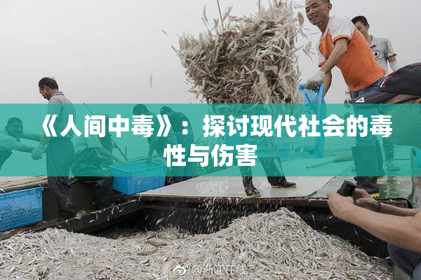 《人间中毒》：探讨现代社会的毒性与伤害