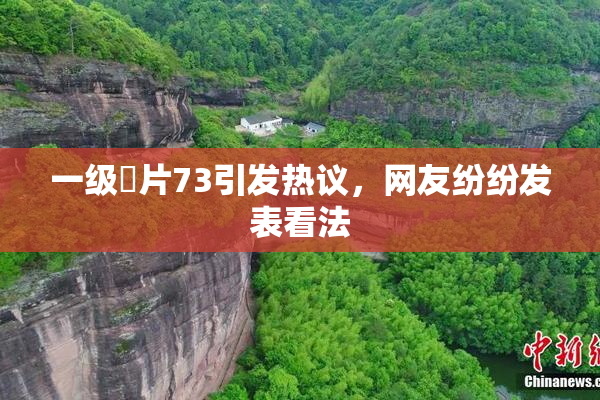 一级婬片73引发热议，网友纷纷发表看法