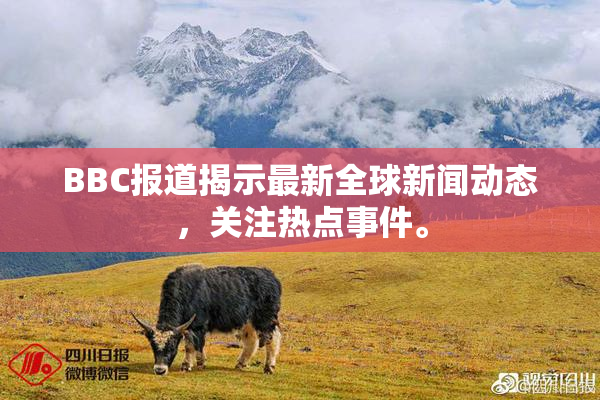 BBC报道揭示最新全球新闻动态，关注热点事件。