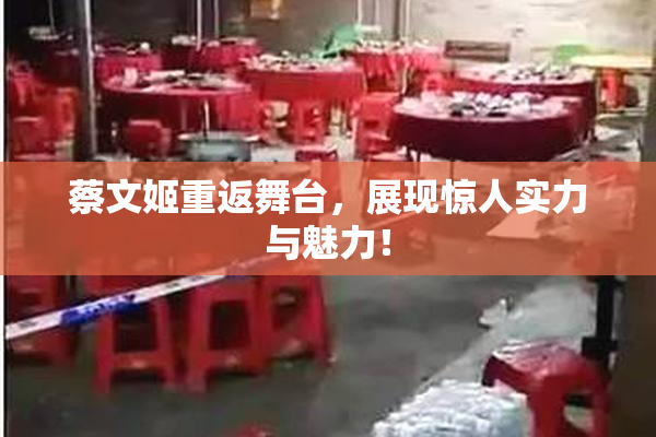 蔡文姬重返舞台，展现惊人实力与魅力！