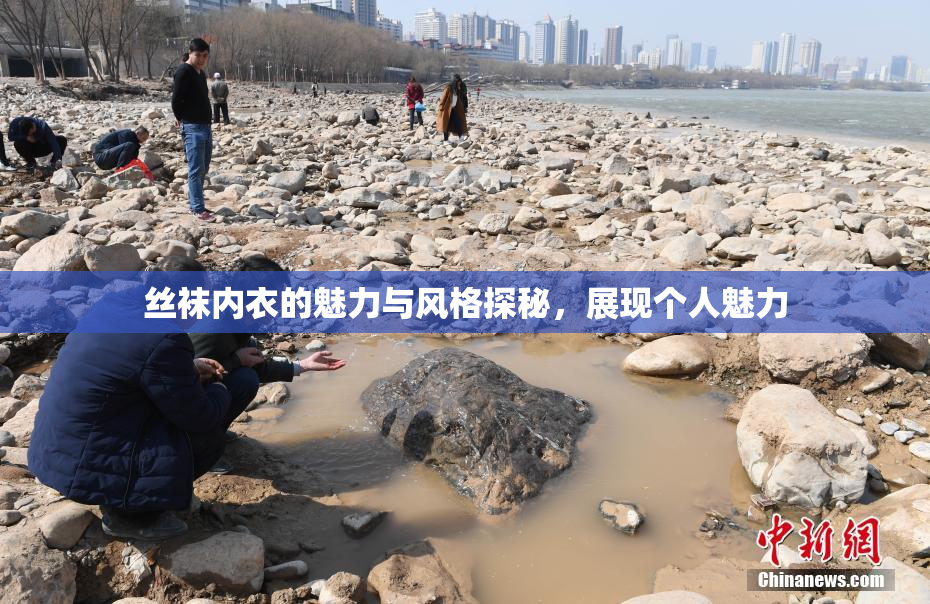 丝袜内衣的魅力与风格探秘，展现个人魅力